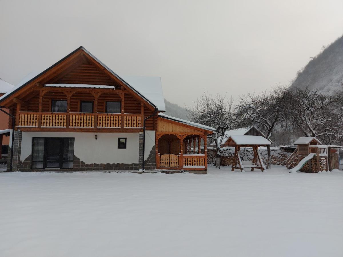 Casa Nova Villa Viseu de Sus Ngoại thất bức ảnh