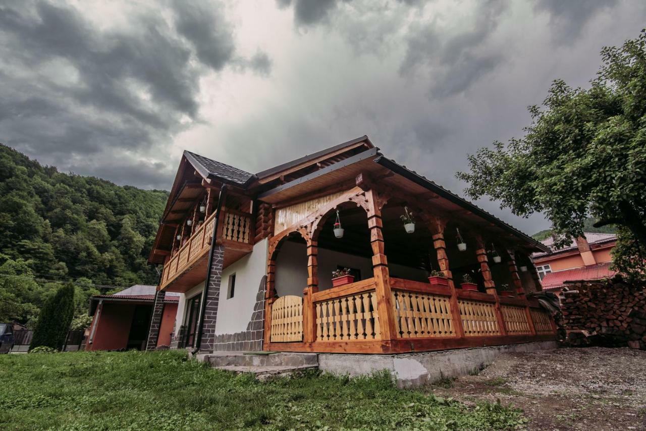 Casa Nova Villa Viseu de Sus Ngoại thất bức ảnh