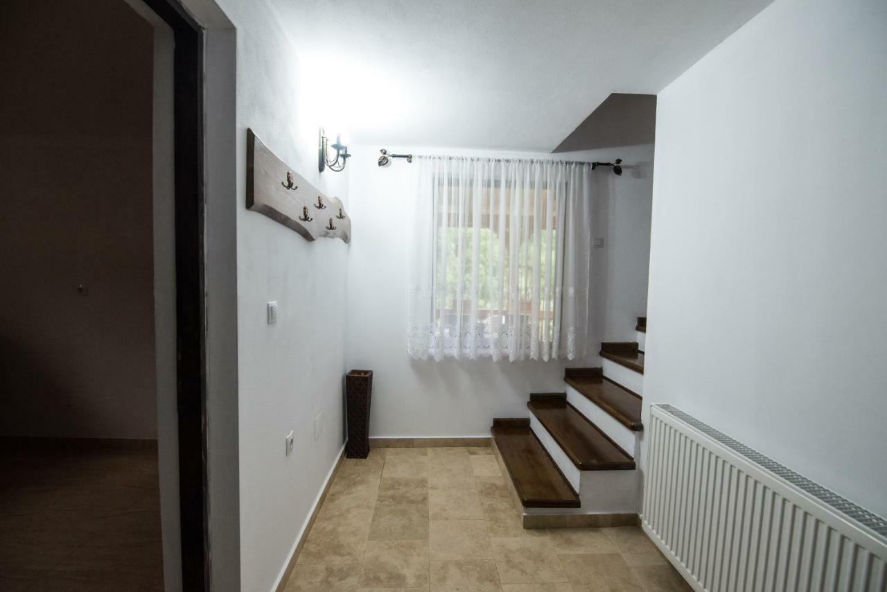 Casa Nova Villa Viseu de Sus Ngoại thất bức ảnh