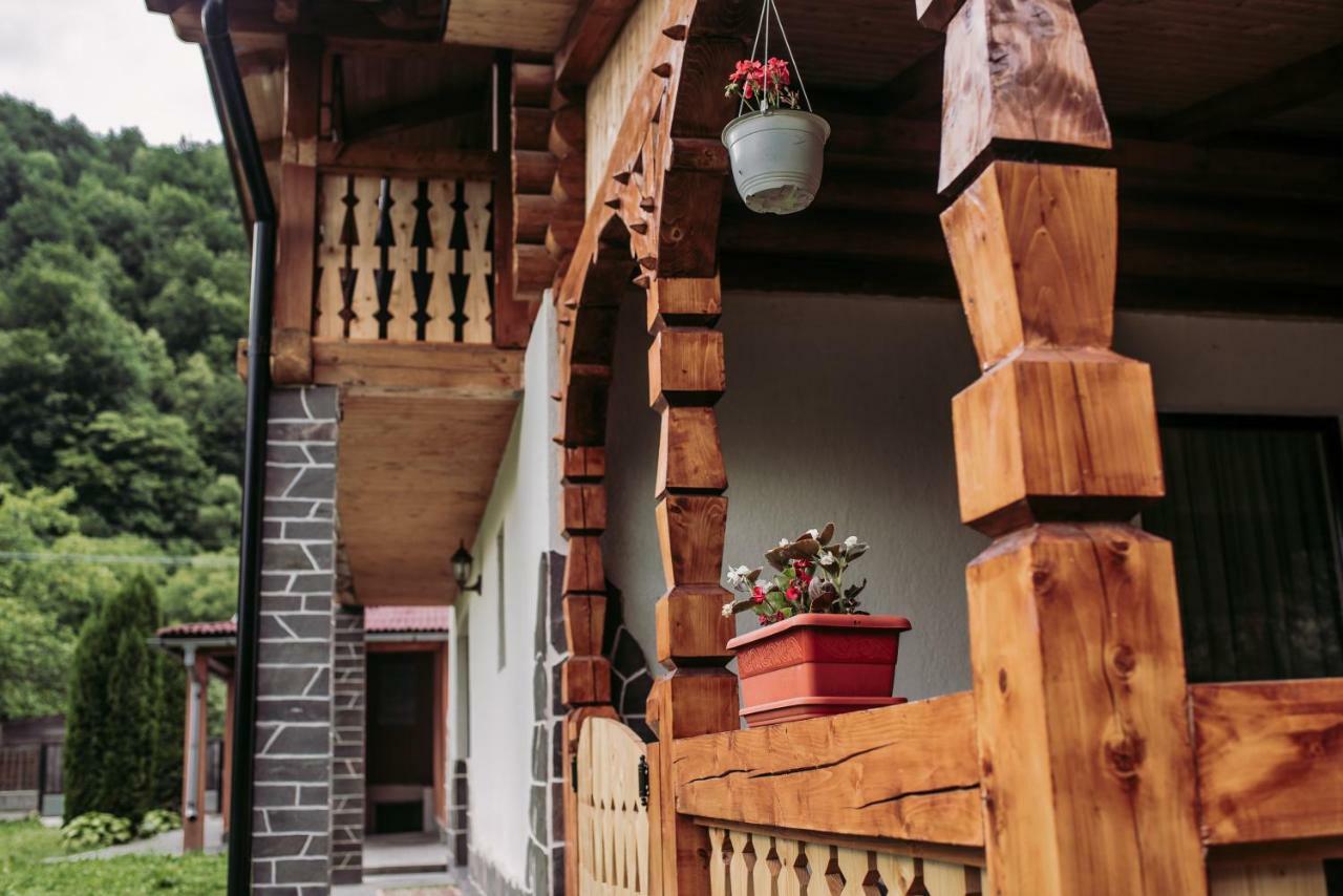 Casa Nova Villa Viseu de Sus Ngoại thất bức ảnh