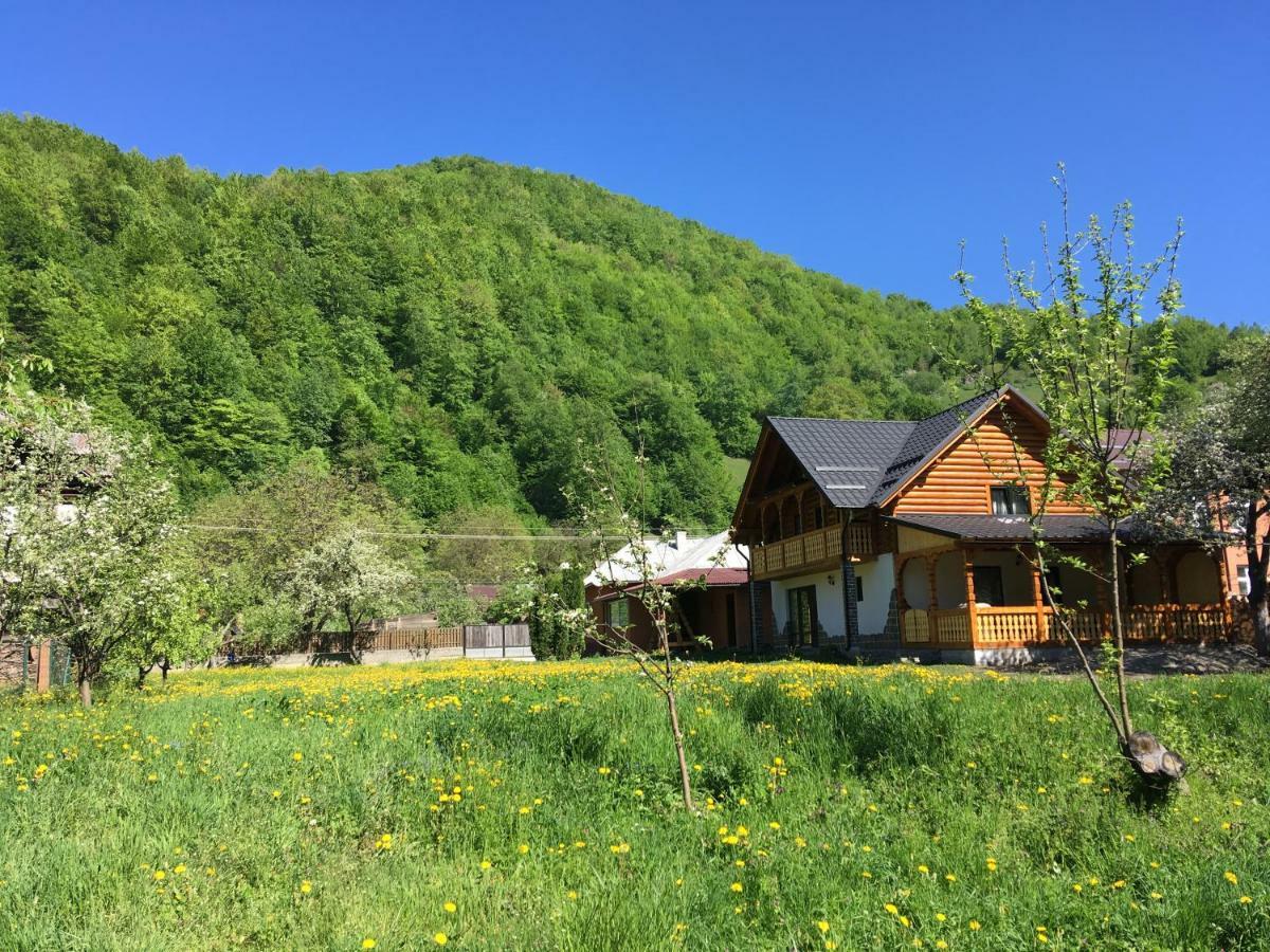 Casa Nova Villa Viseu de Sus Ngoại thất bức ảnh