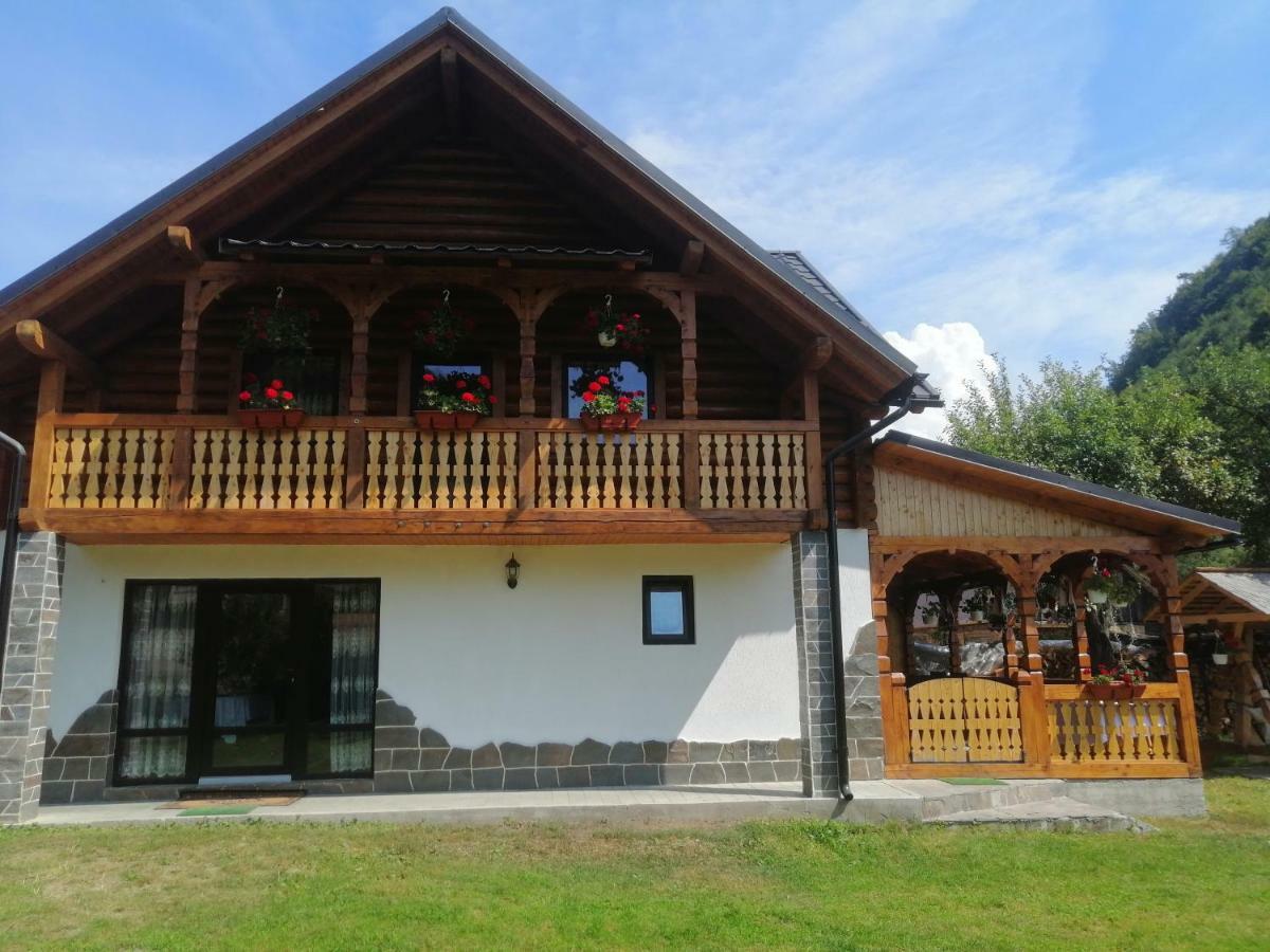 Casa Nova Villa Viseu de Sus Ngoại thất bức ảnh